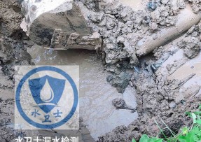 红岗区水管漏水检测公司5